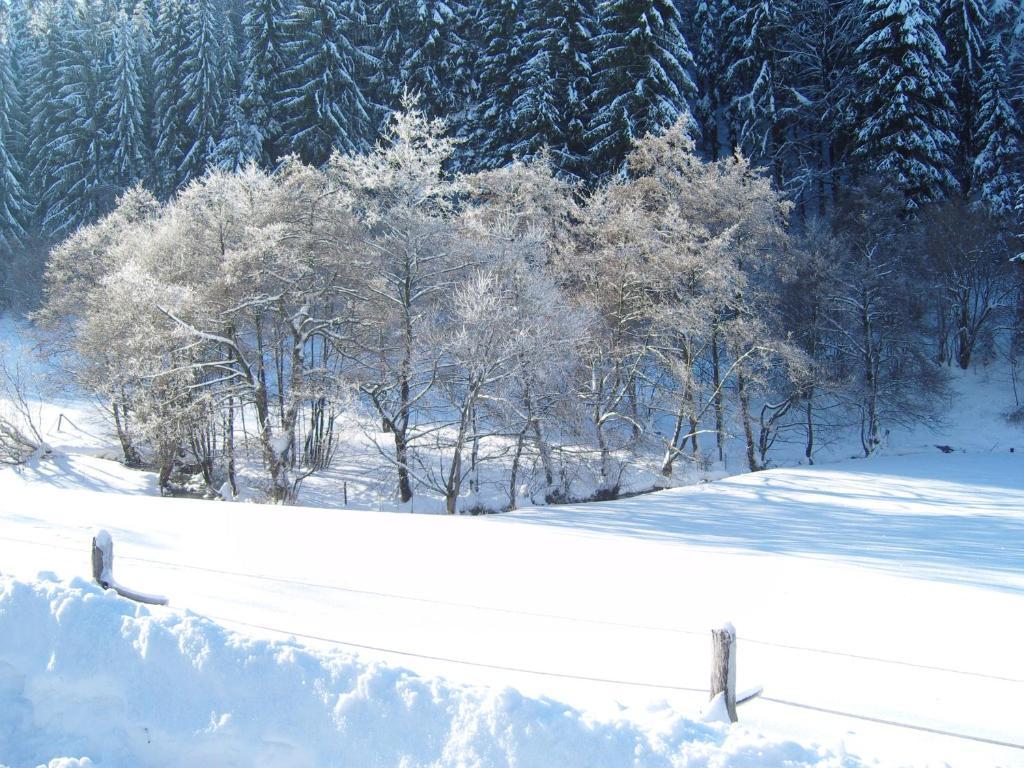 Birgits Landhaus Willingen Willingen  Exterior foto